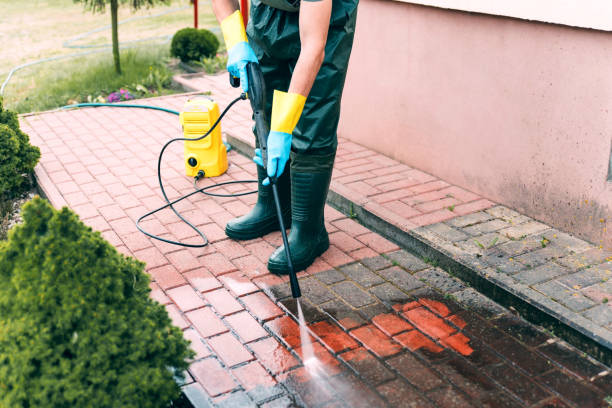 Best Dumpster Area Cleaning  in Tamalpais Homestead Valley, CA